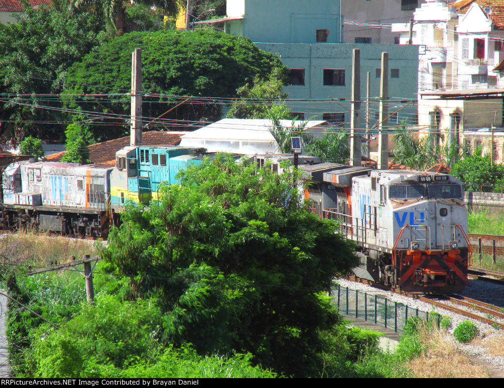 VLI 6038